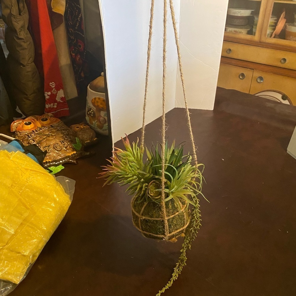 Hanging faux succulents